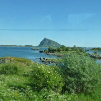 P1000514 null