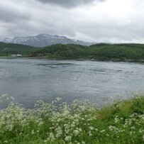 P1000547 null