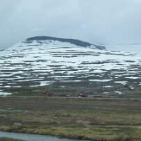 P1000577 null