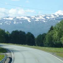 P1000583 null