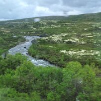 20260613_114946 null