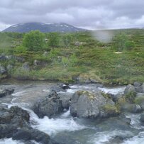 20260613_115127 null