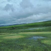 20260613_120612 null