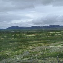 20260613_121034 null
