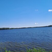 20260605_110043 null