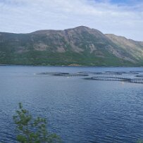 20260607_125123 null