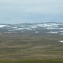 P1000255 null
