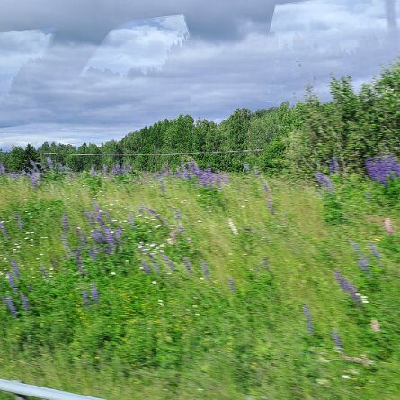 Lillehammer - Oslo – Einschiffung Ende unser wunderschönen Reise mit tollen Mitreisenden und ebenso tollen Bussfahrer (Bussikuski) Jan, Danke